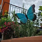 Appartement Mexicana Blue *