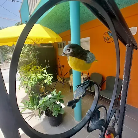 Mexicana Blue * Zadar