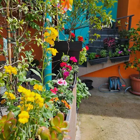 Apartman Mexicana Blue Zára