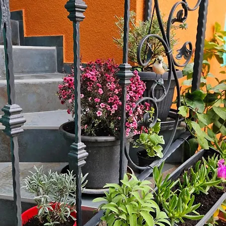 Lägenhet Mexicana Blue