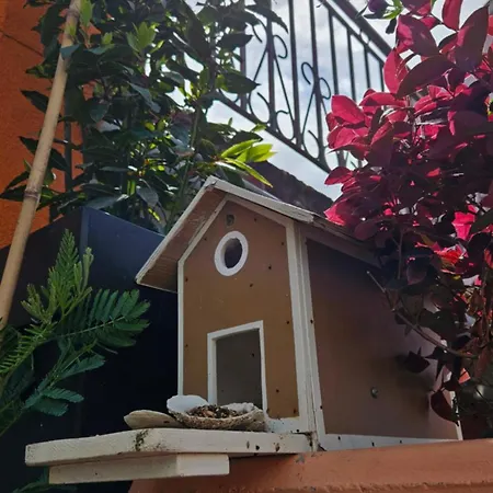 Mexicana Blue Apartman *