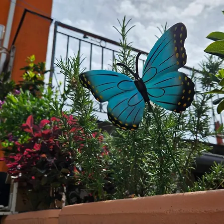 Διαμέρισμα Mexicana Blue *