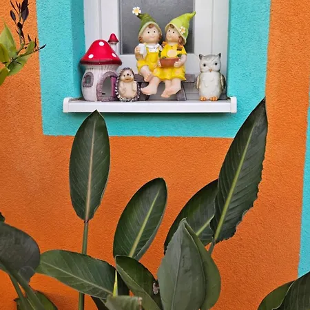 Mexicana Blue * Zadar