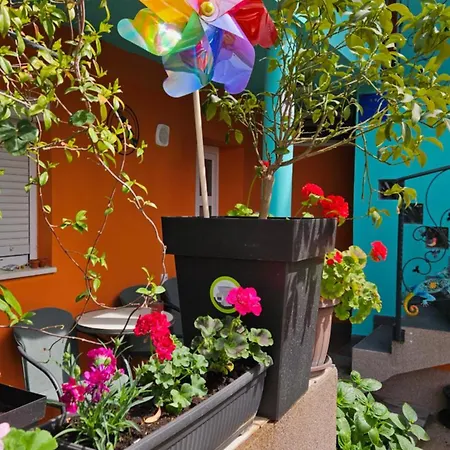 Mexicana Blue Apartman