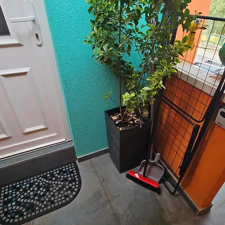 Apartment Mexicana Blue *