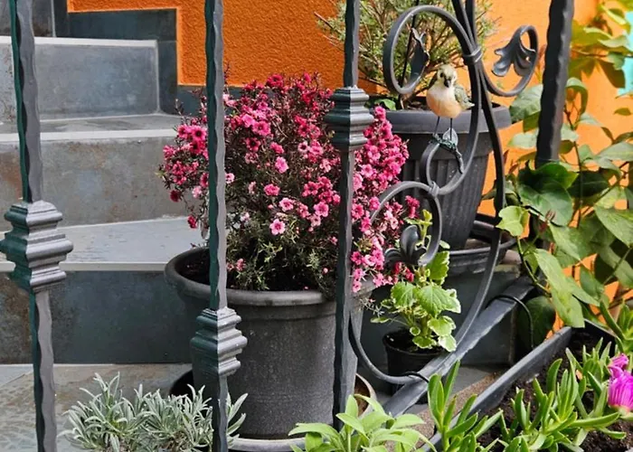 Appartement Mexicana Blue