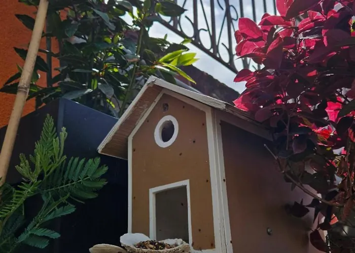 Mexicana Blue 아파트 *