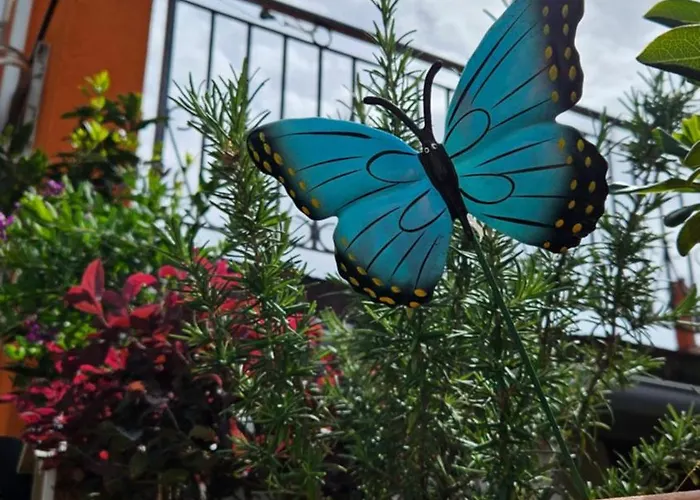 Appartement Mexicana Blue *