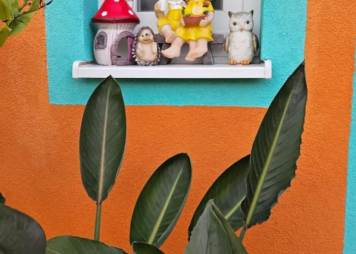 Mexicana Blue * 자다르